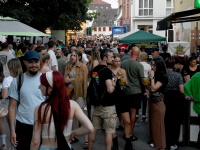 Freitag - Altstadtfest 2023 